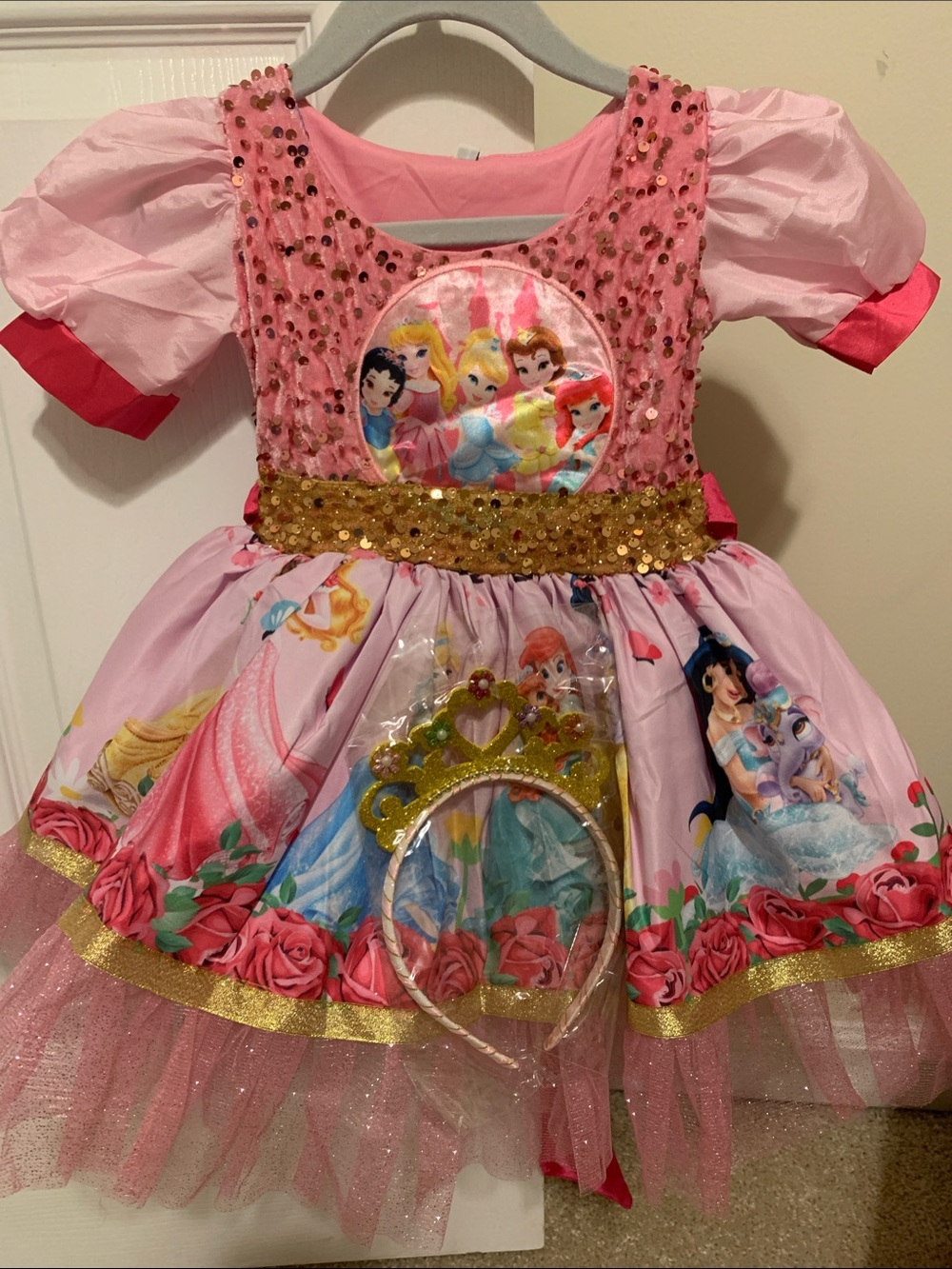 Disney Princess Palace pet costume/dress